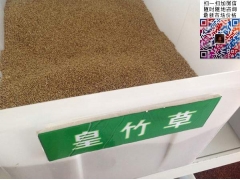 買皇竹草多少錢一斤合算？